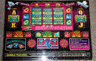 Lot 737