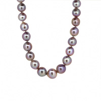 Lot 25