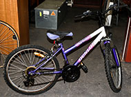 Lot 256