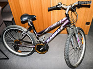 Lot 257