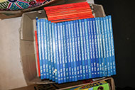 Lot 335