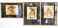 Lot 523