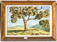 Lot 581