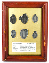 Lot 719