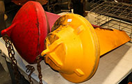 Lot 799