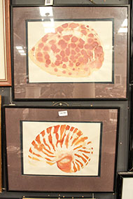 Lot 103