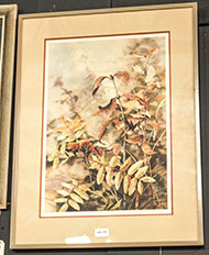 Lot 113