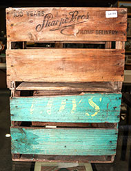 Lot 313