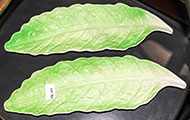Lot 554