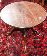 Lot 575