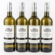 Lot 109
