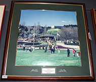 Lot 177