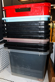 Lot 55