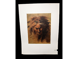 Lot 407