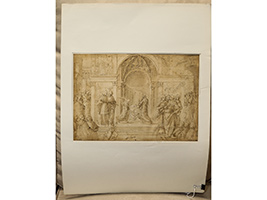 Lot 557