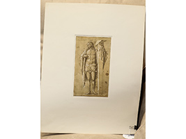 Lot 558