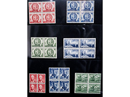 Lot 12