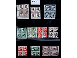 Lot 14
