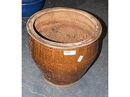 Lot 464