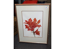 Lot 528
