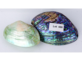Lot 480