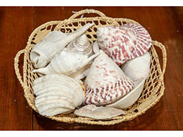 Lot 285