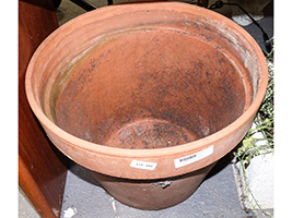 Lot 494