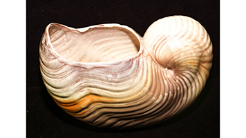 Lot 187