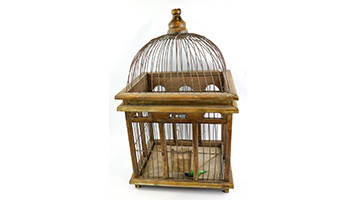Lot 197
