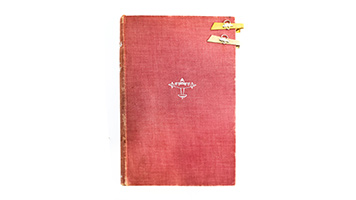 Lot 25