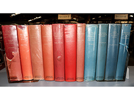 Lot 29
