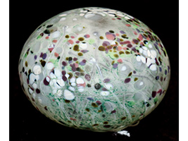 Lot 23