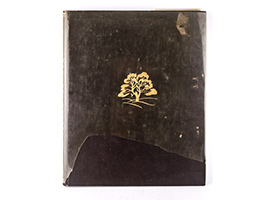 Lot 11