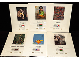 Lot 248