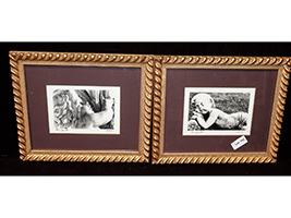 Lot 702