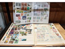 Lot 703
