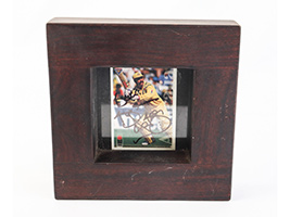 Lot 790