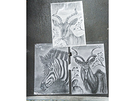 Lot 224