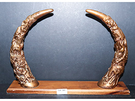 Lot 341