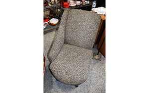 Lot 1259
