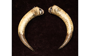 Lot 1491