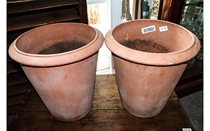 Lot 155
