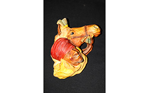 Lot 349