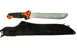 Lot 570