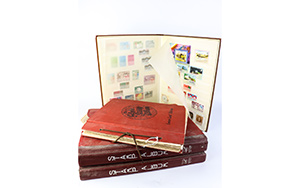 Lot 707