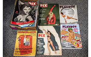 Lot 731