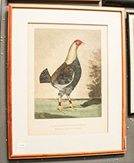 Lot 607