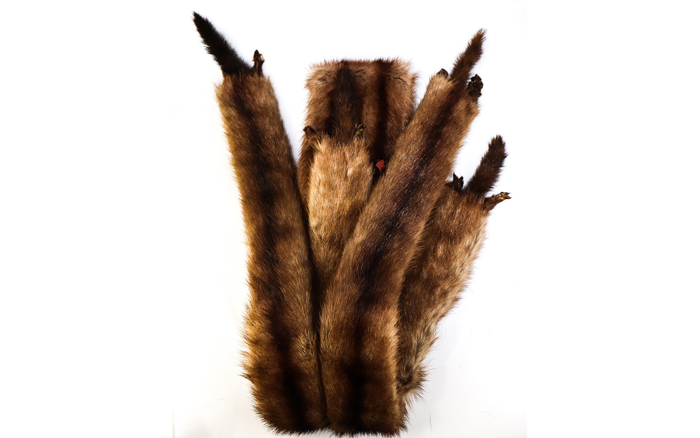 Lot 161 - Image 2