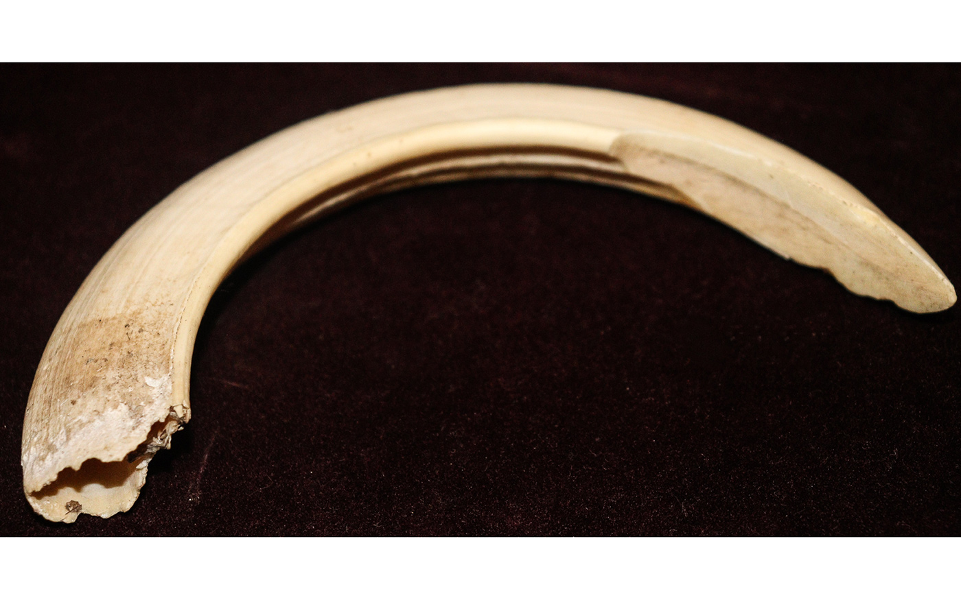 Lot 255 - Image 2