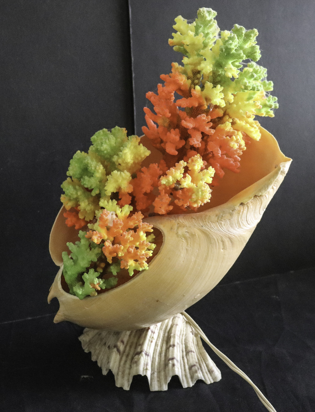 Lot 122 - Image 2